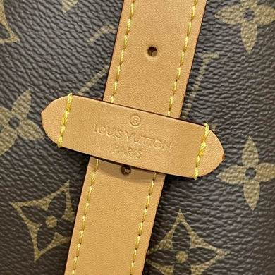 Louis Vuitton CarryAll MM Monogram Bag