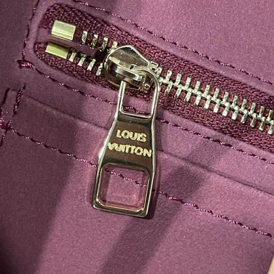 Louis Vuitton CarryAll MM Monogram Bag