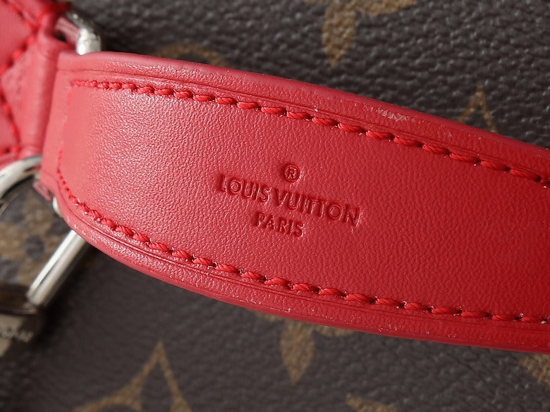 Louis Vuitton Vanity case