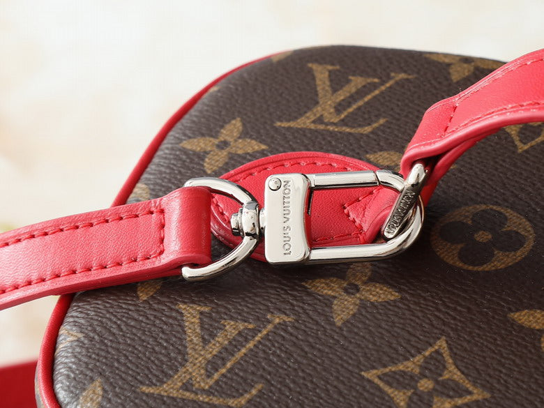Louis Vuitton Vanity case