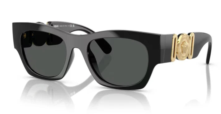 Versace Black Unisex Sunglasses